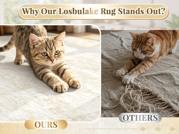 Why Our Losbulake Rug Stands Out?