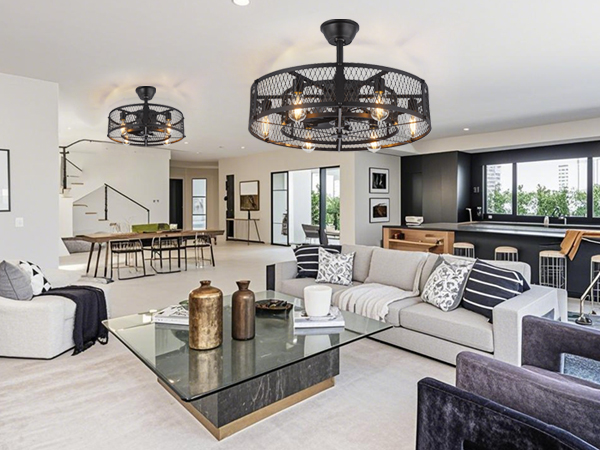 living Room ceiling fan with lights