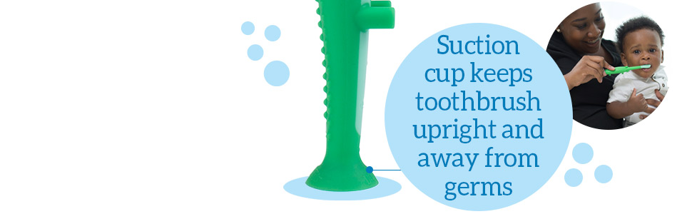Suction cup keeps toothbrush upright and away from germs