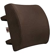 LOVEHOME Lumbar Support Pillow for Chair and Car, Back Support for Office Chair Memory Foam Cushi...