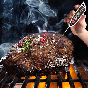 meat thermometer