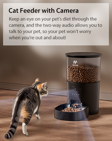 automatic cat feeder with camera