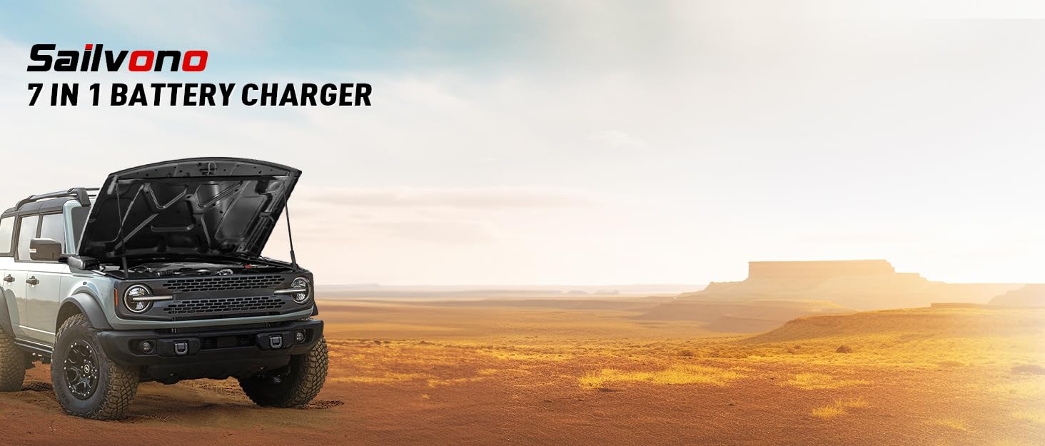 lifepo4 battery charger trickle charger for car battery