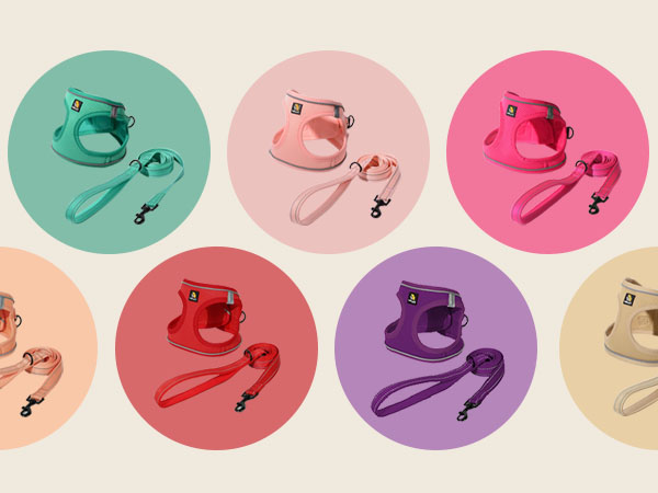 Collection of pet accessories in seven different colors displayed in circles, each showing matching leash and harness sets.