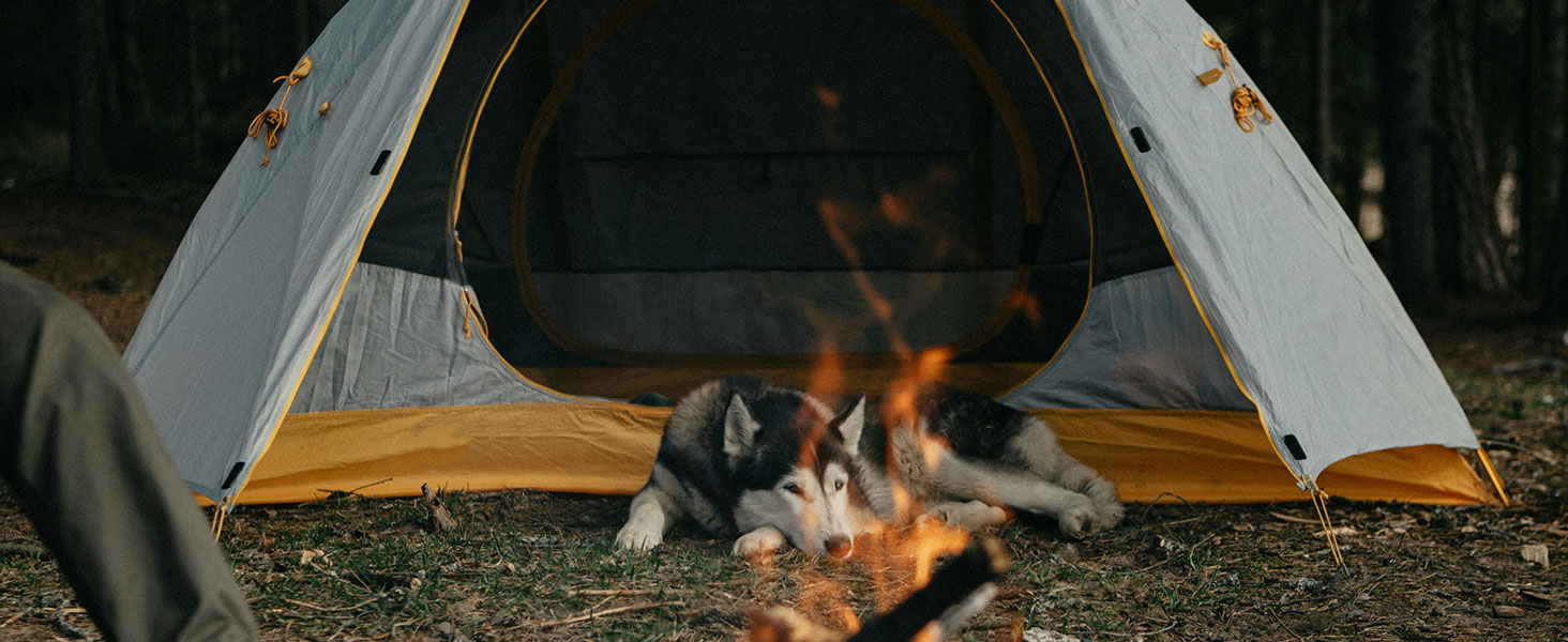 Blowing Campfires