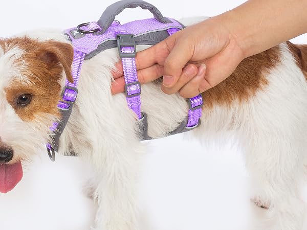 dog harness with handle 