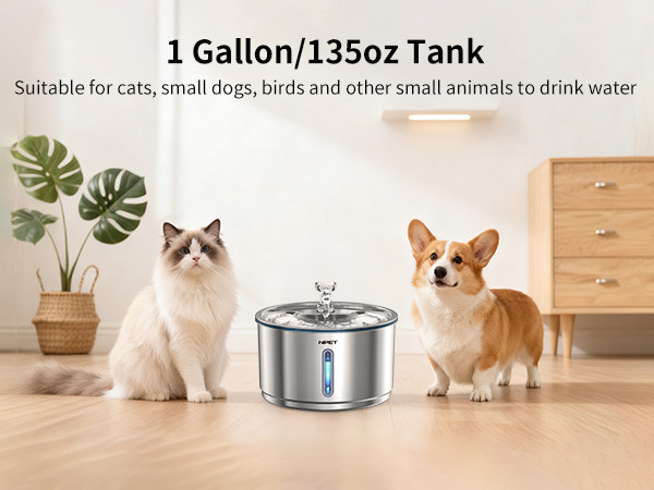 1 gallon pet water fountain