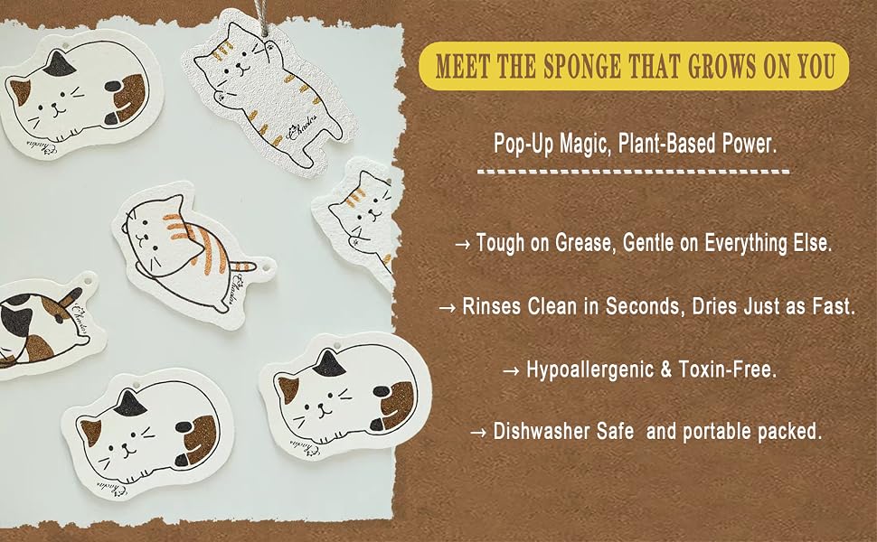 Pop-Up Magic,Plant-Based Power