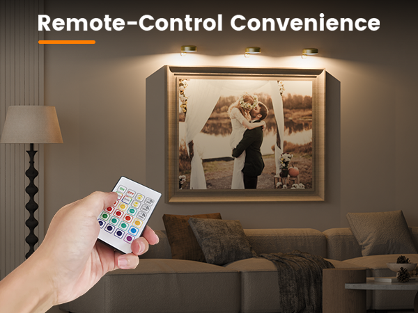 Picture Lights for Wall