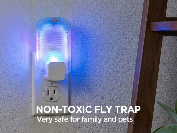 fly killer gnat killer plug in best safe electric flying insect trap fruit fly bug blue UV light