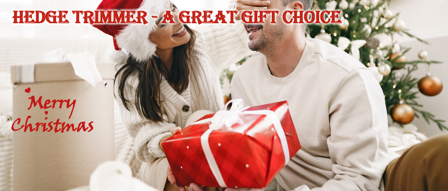 Hedge Trimmer &amp; Grass Shear