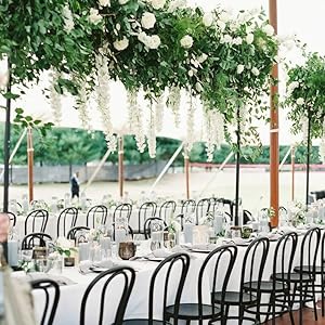Wisteria Hanging Flowers