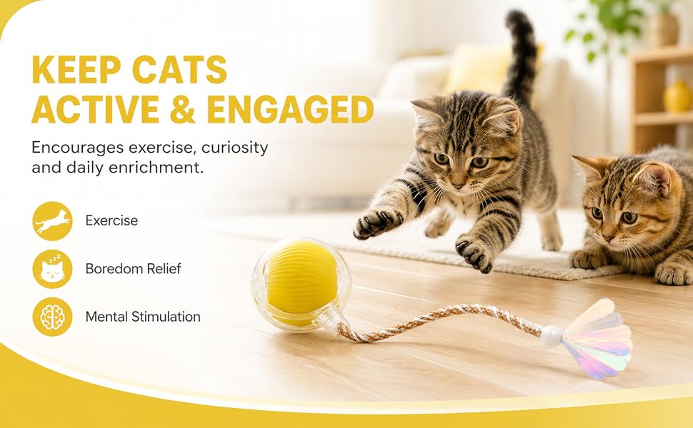 Automatic Cat Toy for Indoor