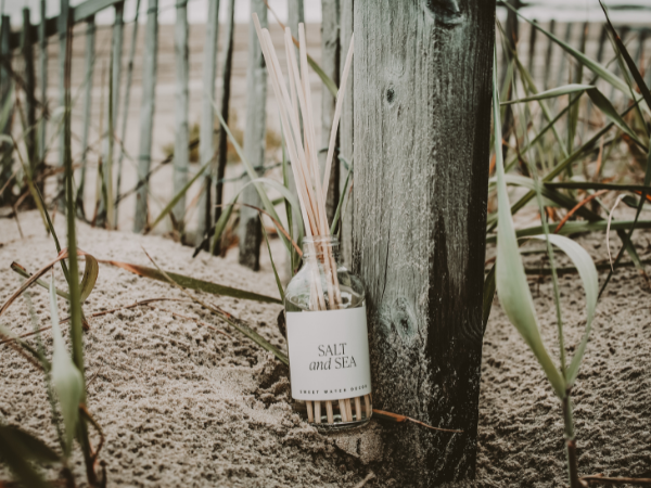 Salt and Sea Reed Diffuser Set for Home