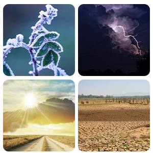 trail camera waterproof