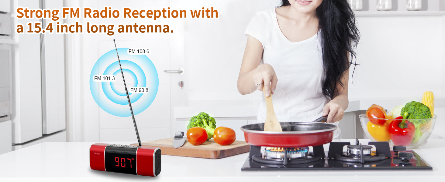 FM Radio Bluetooth Speaker