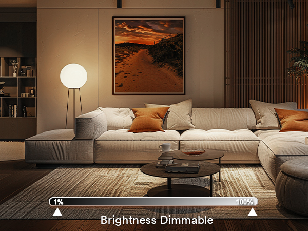 Brightness Dimmable-phone