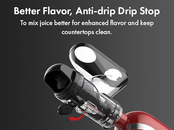 Masticating Juicer Attachment for KitchenAid Stand Mixer