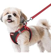 rabbitgoo Dog Harness Small Sized and Leash Set, Step-in Breathable Pet Harness, Soft Walking Ref...