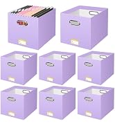 BALEINE File Organizer Box, Cardboard File Folder Organizer with Handle for Letter Size, Portable...