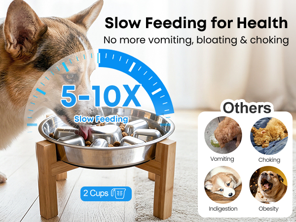 dog slow feeder