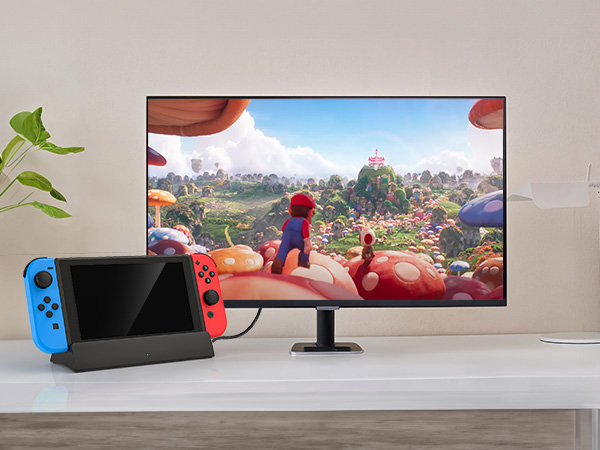  switch dock