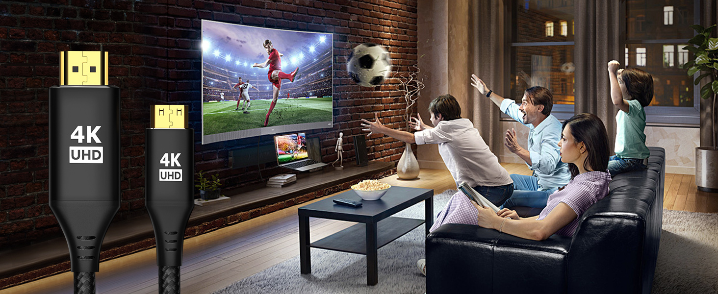 hdmi to mini hdmi cable