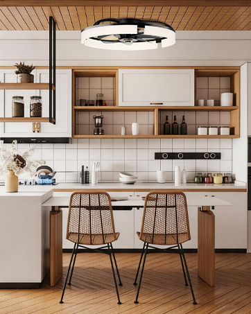 ceiling fans with lights