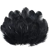Soarer Black Craft Feathers Bulk - 300pcs 3-5inch Natural Feathers for Wedding Home,Dream Catcher...
