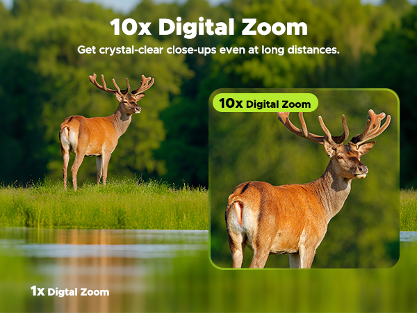 Night Vision Goggles