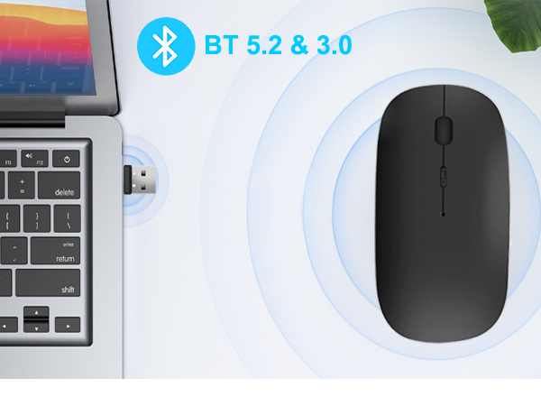 Wireless Bluetooth Mouse USB C