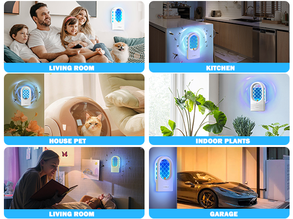 Plug-in Bug Light Trap for Fruit Flies, Gnats and Houseflies - Odorless and Mess Free 