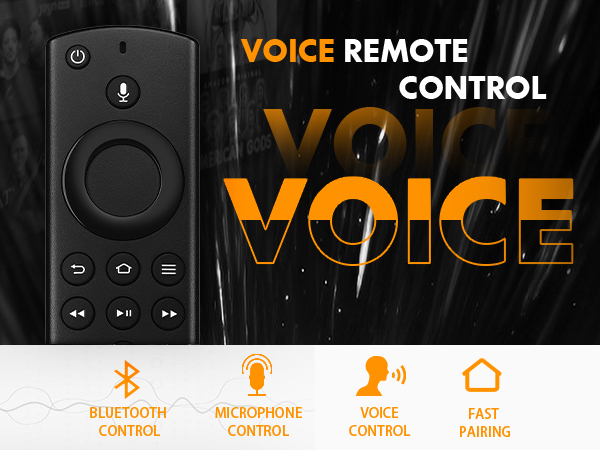 Voice Remote 