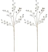 Hemobllo Bouquet Accessories: 2pcs Xmas Acrylic Stems, Golden Christmas Floral Picks, Acrylic Bea...