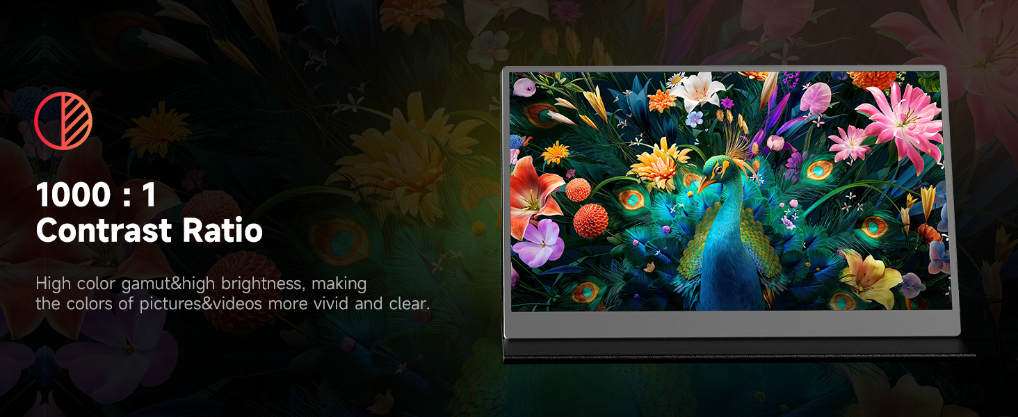 AYY Portable Monitor for Laptop 15.6 Inch FHD 1080P