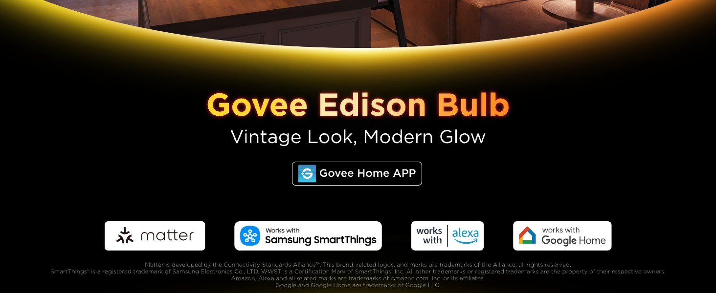 Govee smart edison bulbs ST19