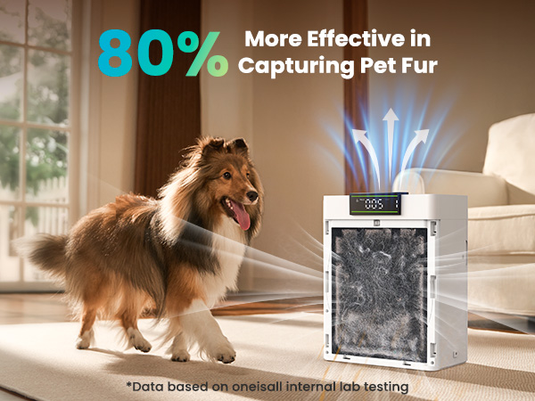 pet air purifier