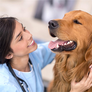 dental tweezers flosser gum floss picks mouth mirror hard plaque remover for teeth toothed scraper