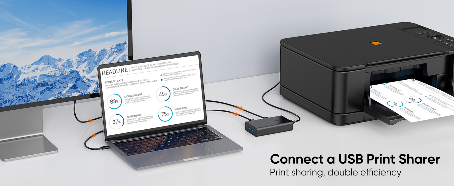 Connect a USB print sharer