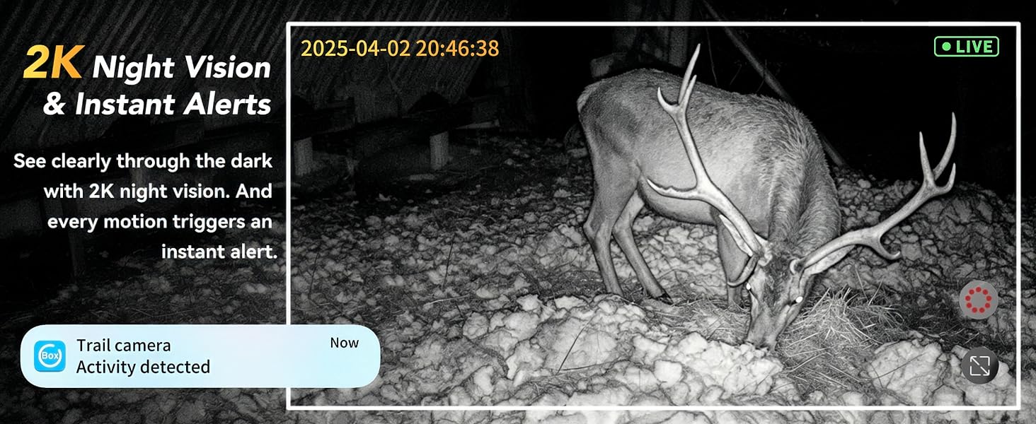 2K night vision