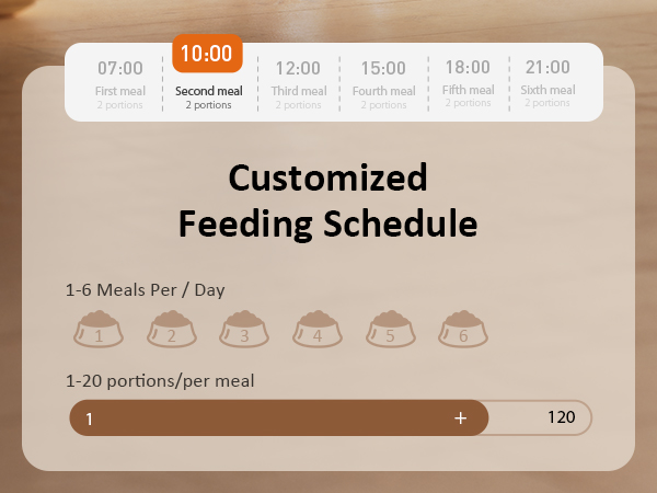 Automatic Cat Feeder