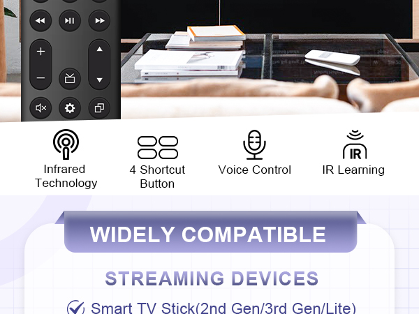 voice replacement remote control