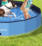 splash pad, dog pool