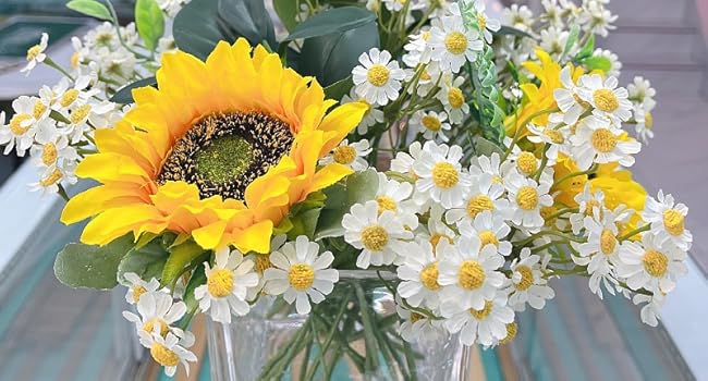 daisy