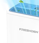 dehumidifier for home