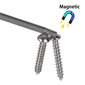Magnetic torx bits