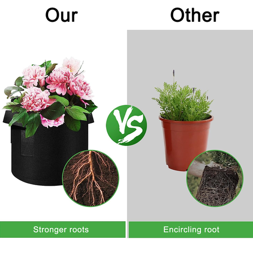 https://i.ebayimg.com/00/s/MTAwMFgxMDAw/z/D~MAAOSwMaZmocSG/$_12.PNG?set_id=880000500F