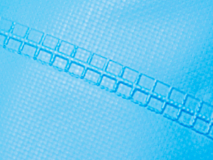 Strong seal technology of dry case