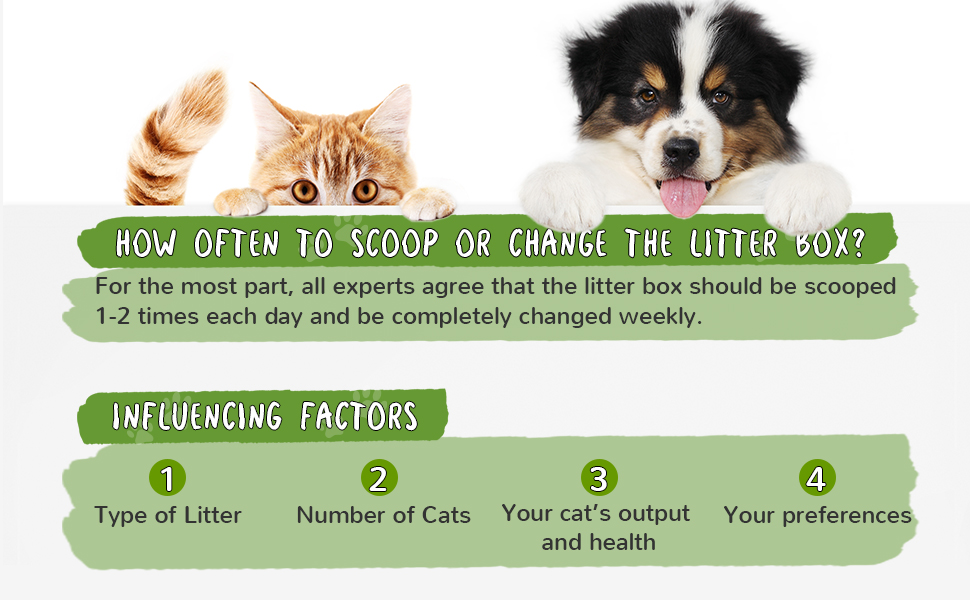 cat litter bags