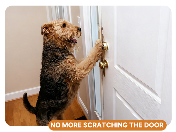 scratch the door
